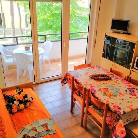 Acquarium * 비비오네